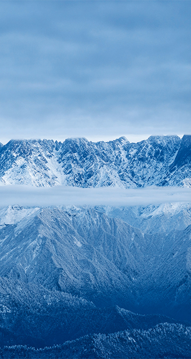 关于竞技联盟德州